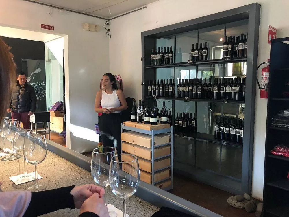 Premium Wine Tasting - Tuffbang