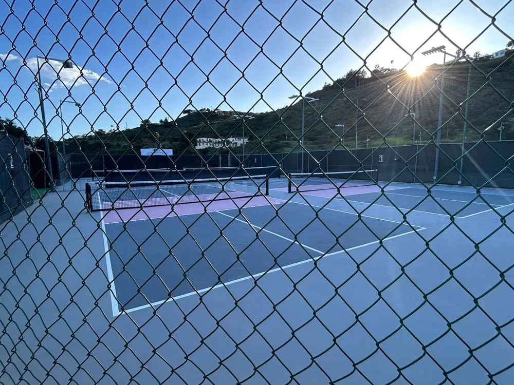 Game On! Head to the courts for 2-3 hours of pickleball with your group